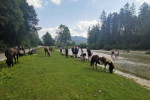 Bluntautal-4