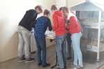 IMG-20191210-WA0002
