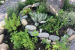 Garten1