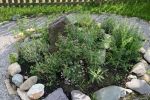 Garten5