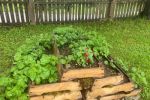 Garten6