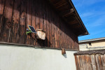 Foto5