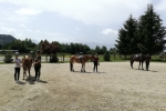 Reiten