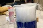 Biologie-10