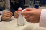 Biologie-6