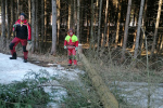 IMG_20220325_094524
