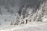 Bilder_Skikurs-5
