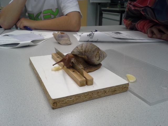 SBZ-Workshop 2A, 2B (45)